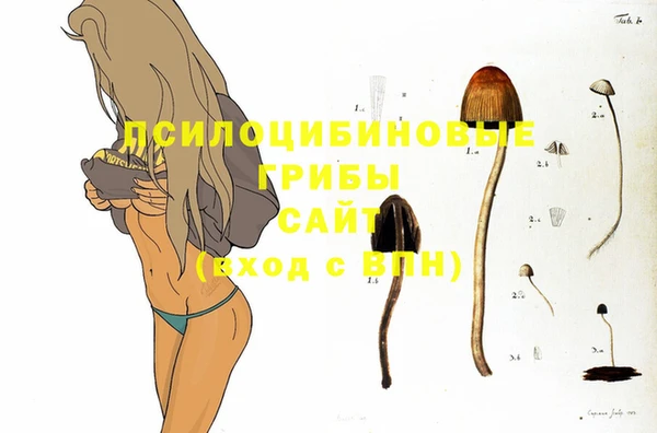 тгк Мегион